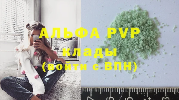 молекула духа Михайлов